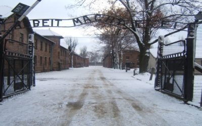 Università di Torino, viaggio della memoria ad Auschwitz per gli studenti