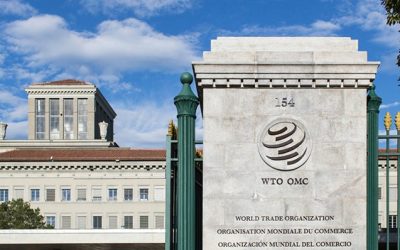 Tirocini al World Trade Organization Secretariat a Ginevra per laureati