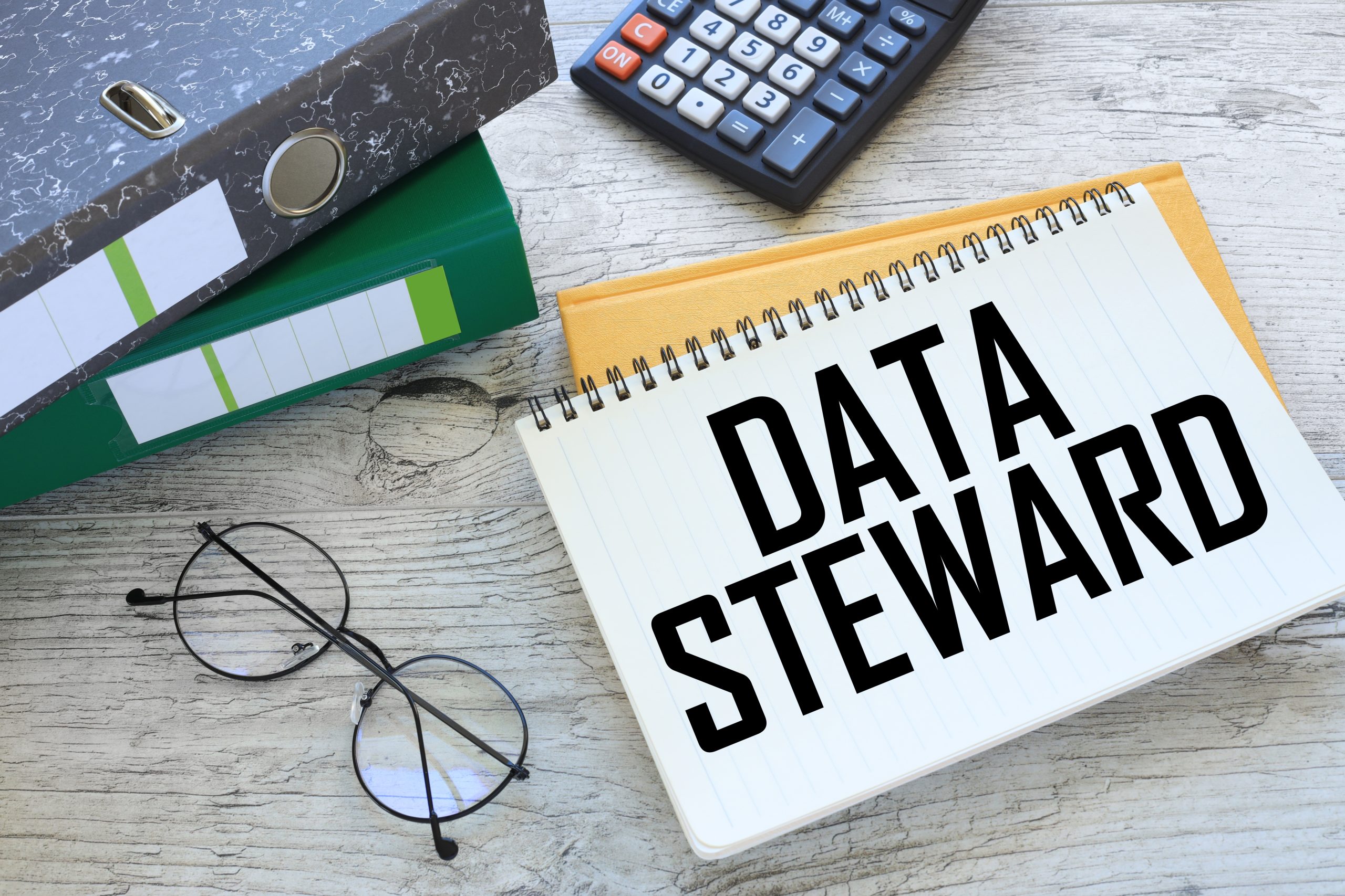 I Data Steward hanno il compito di garantire qualità, accessibilità e riutilizzo dei dati, promuovendo la ricerca, l’innovazione e lo sviluppo sostenibile