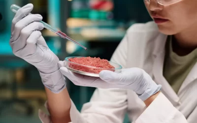 Carne coltivata, l’Università di Torino lancia la sfida