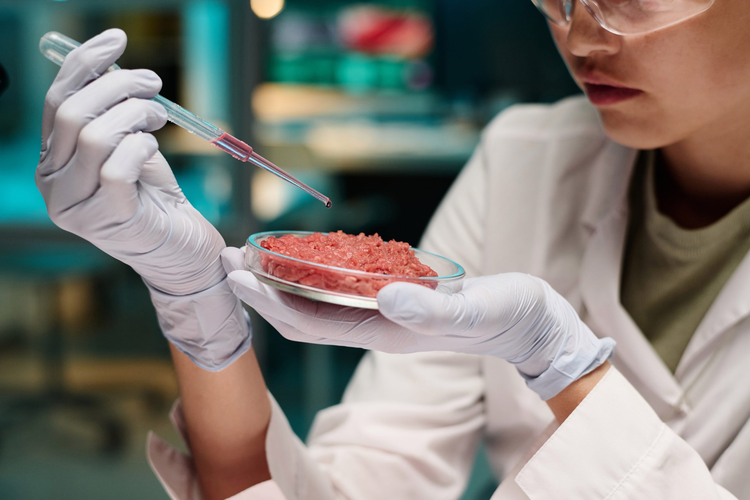 L’Università di Torino lancia una nuova sfida ambiziosa, la carne coltivata in laboratorio con il progetto CultMeat.