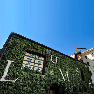 LUMSA, 30 novembre Open Day a.a. 2025-2026